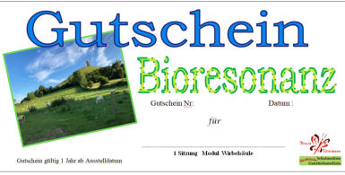 Bild Gutschein Bioresonanz Anwendungen Ganzheitsmedizin