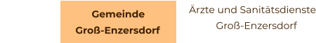 Gemeinde                             Groß-Enzersdorf                                   Ärzte und Sanitätsdienste                                     Groß-Enzersdorf