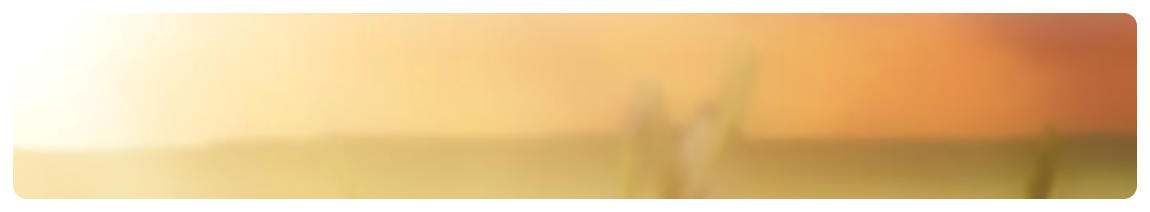 Hintergrund zu Adresse Ganzheitsmedizin Praxis Illichmann